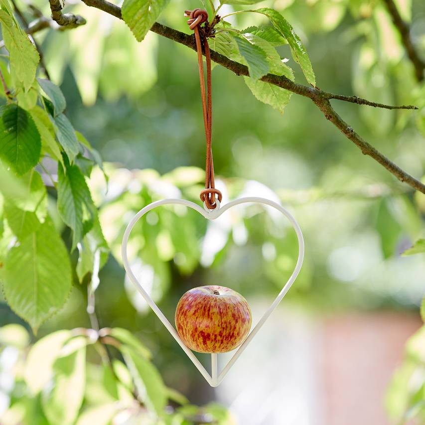 Apple bird feeder in shape of heart with red apple hanging from tree branch