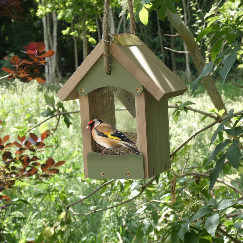 Bird barn feeder with goldfinch