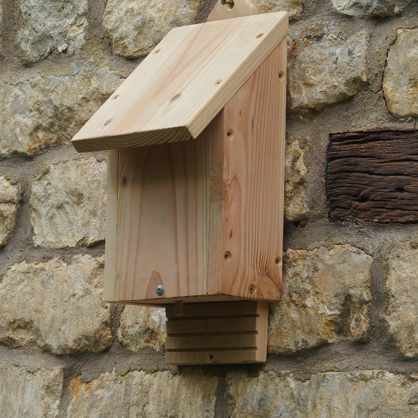 Bat box attached to stone wall next to wooden beam