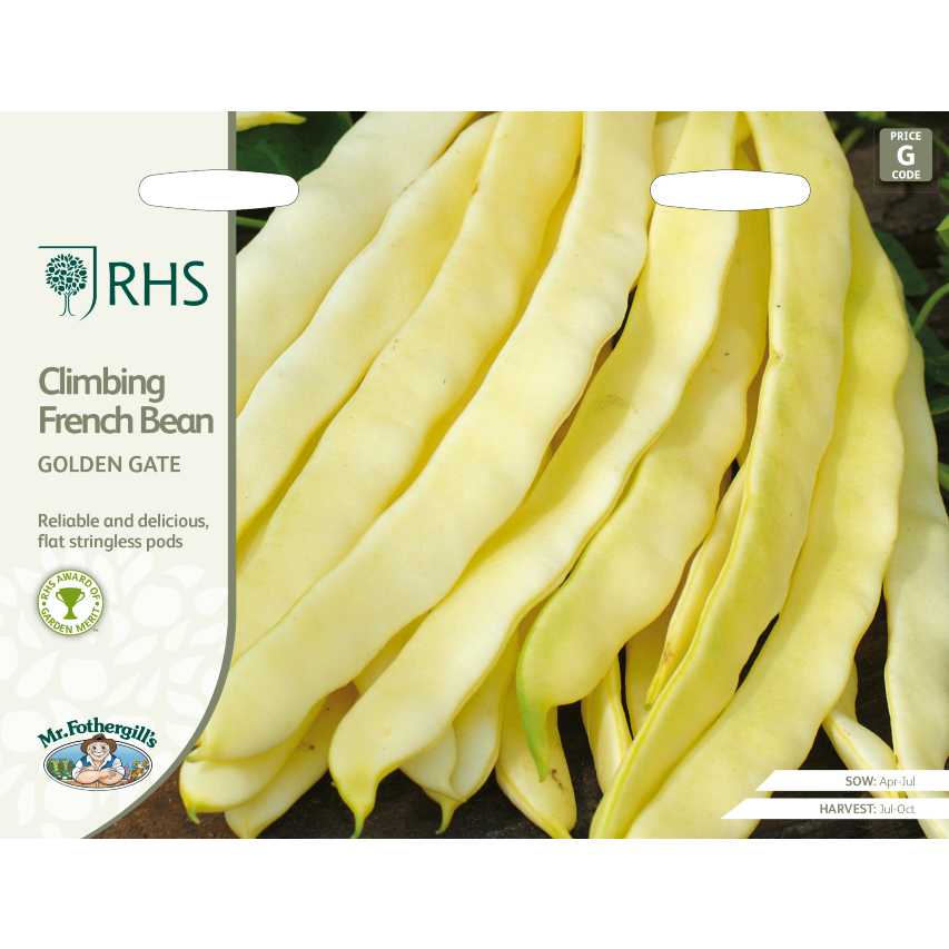 RHS climbing French bean Golden Gate - Verdant