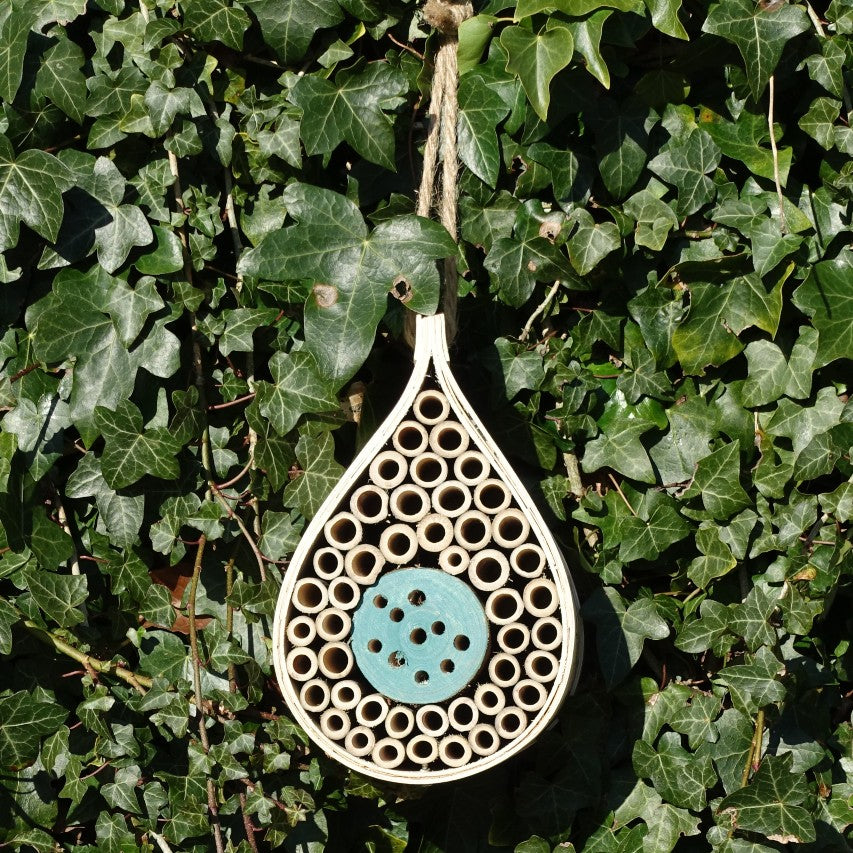 Dewdrop bee hotel hanging on wall covered by ivy