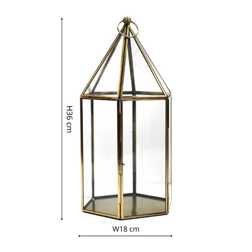 Glass terrarium in antique brass with dimensions