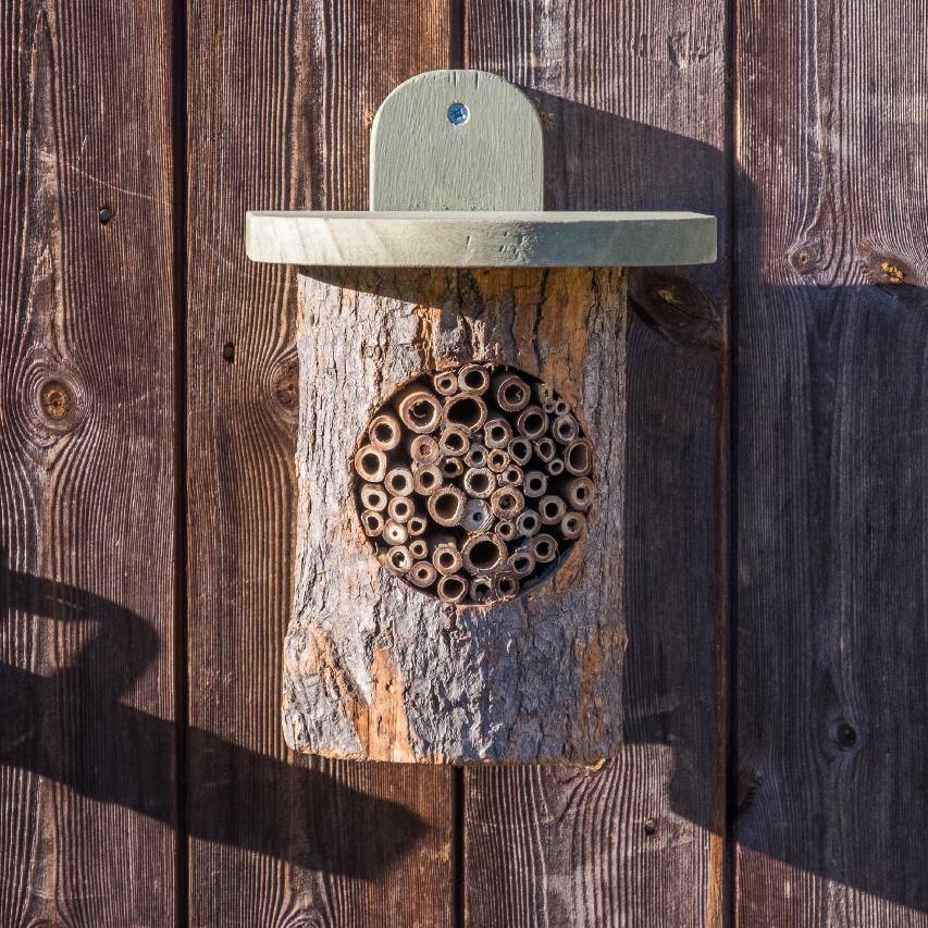 Natural log bee house attached to wooden fence