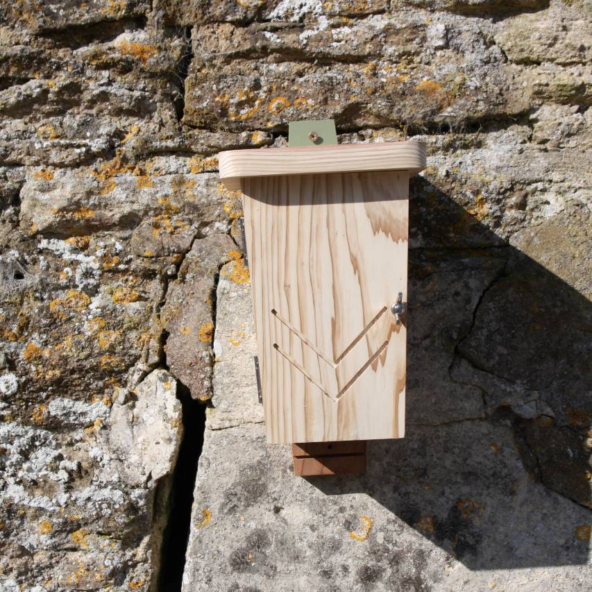 Front view of original bat box attached to stone wall