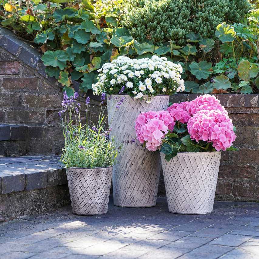 Outdoor Chatsworth zinc planters with lavender and pink hydrangea