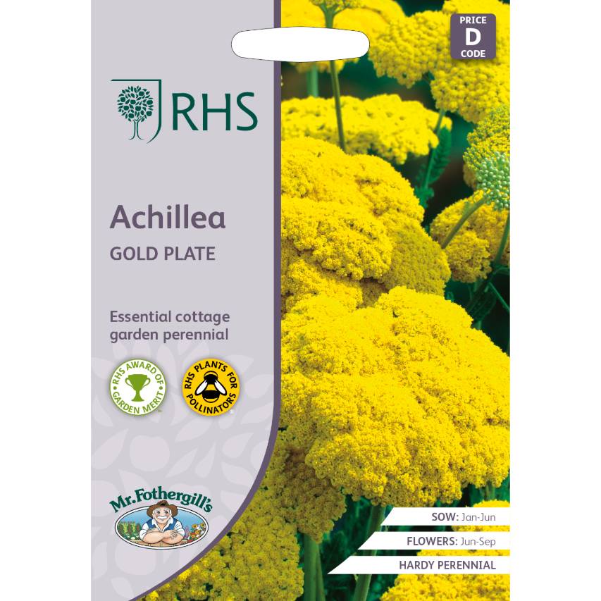 RHS achillea Gold Plate