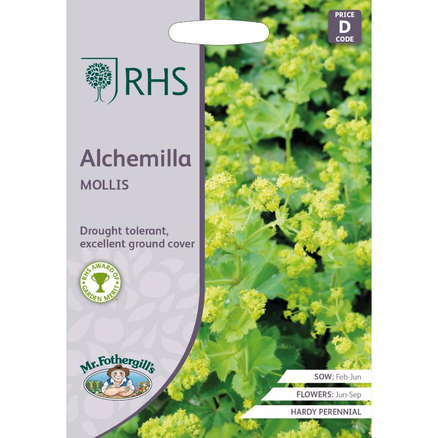 RHS alchemilla 'Mollis'