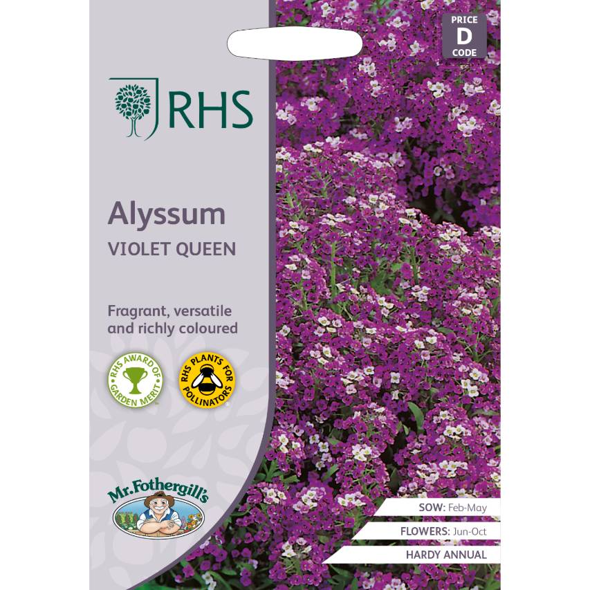 RHS alyssum Violet Queen