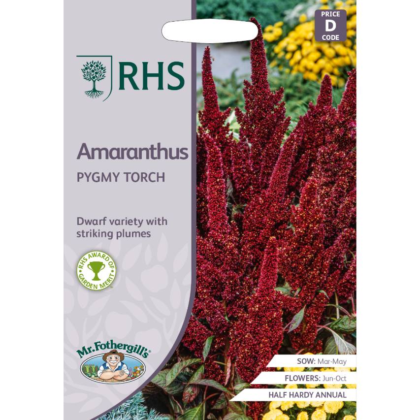 RHS amaranthus 'Pygmy Torch' seeds