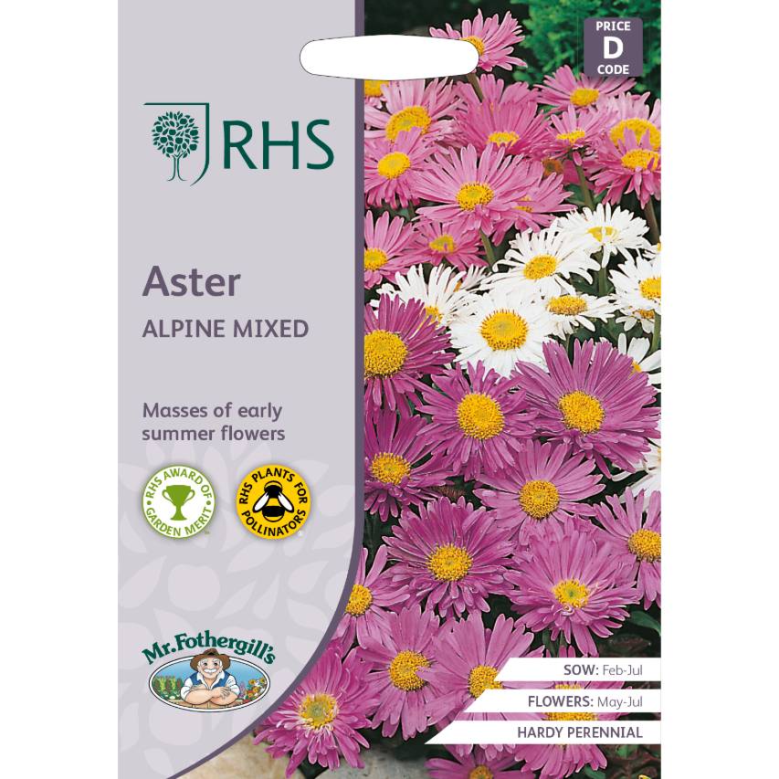 RHS aster Alpine Mixed