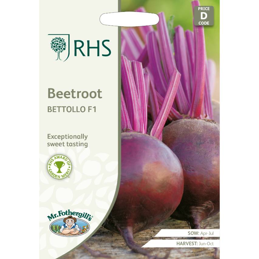 RHS beetroot Bettollo F1