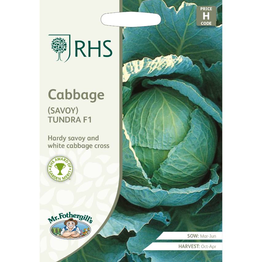 RHS cabbage savoy Tundra