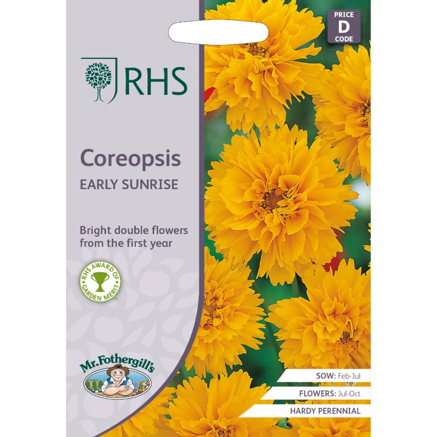 RHS coreopsis Early Sunrise