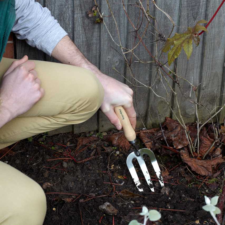 RHS garden hand fork being used to dig border