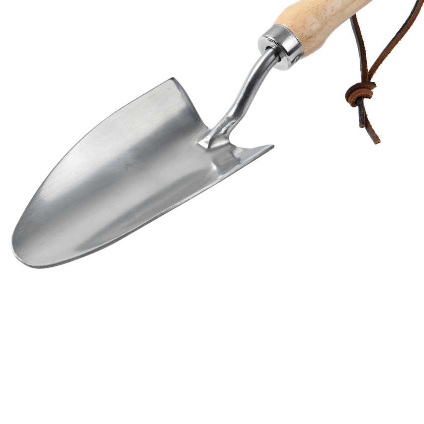 Close up of RHS stainless steel garden hand trowel