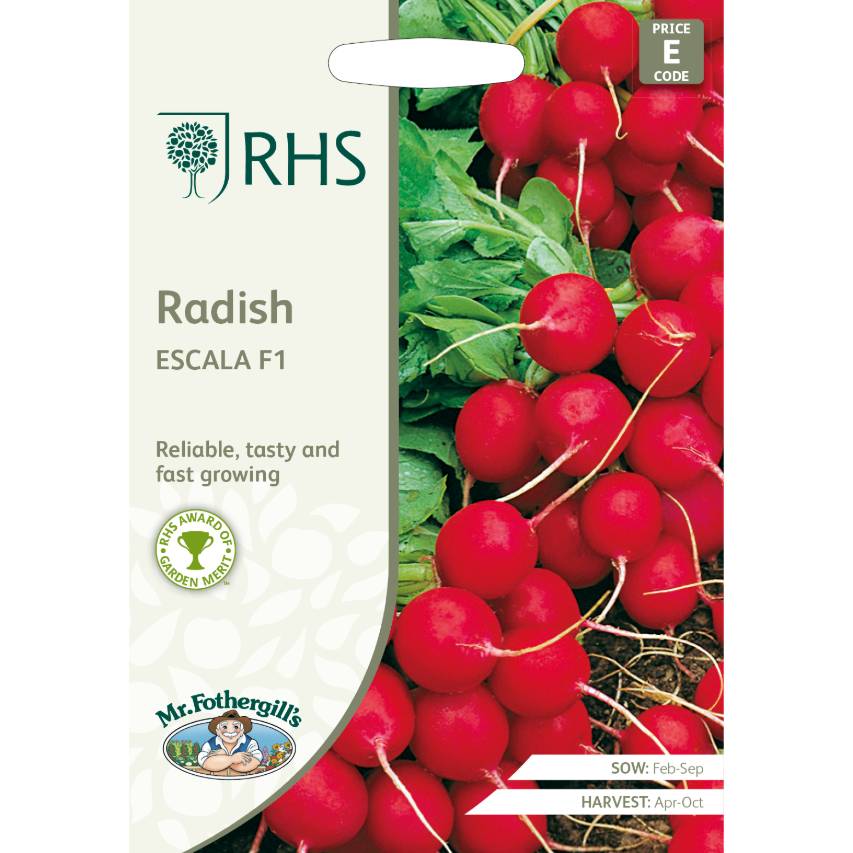 RHS radish Escala F1