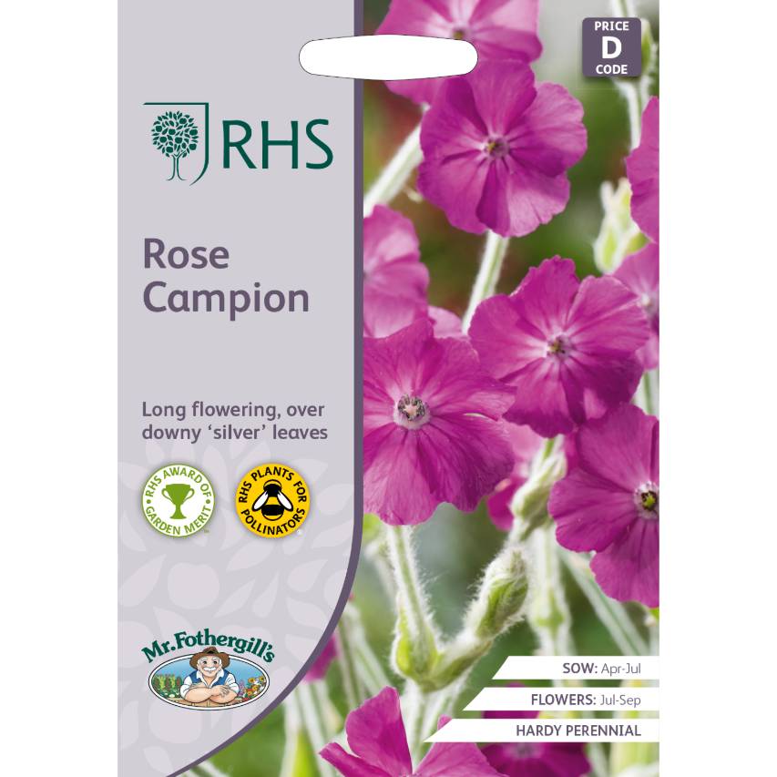 RHS rose Campion seeds