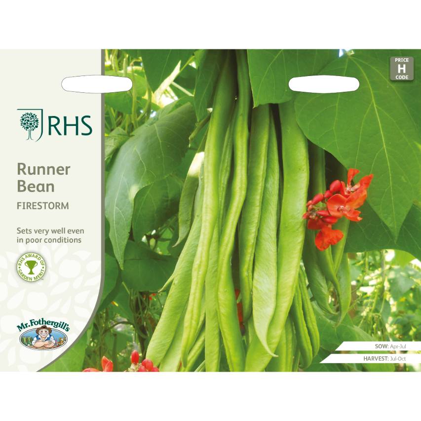 RHS runner bean Firestorm