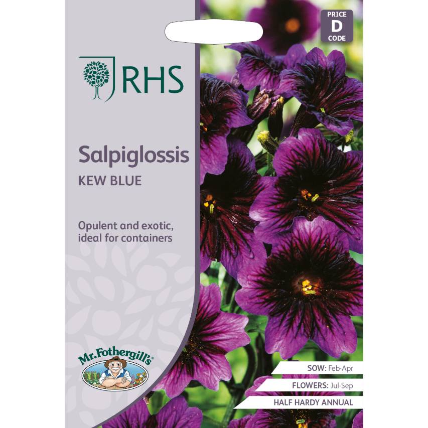 RHS salpiglossis 'Kew Blue'