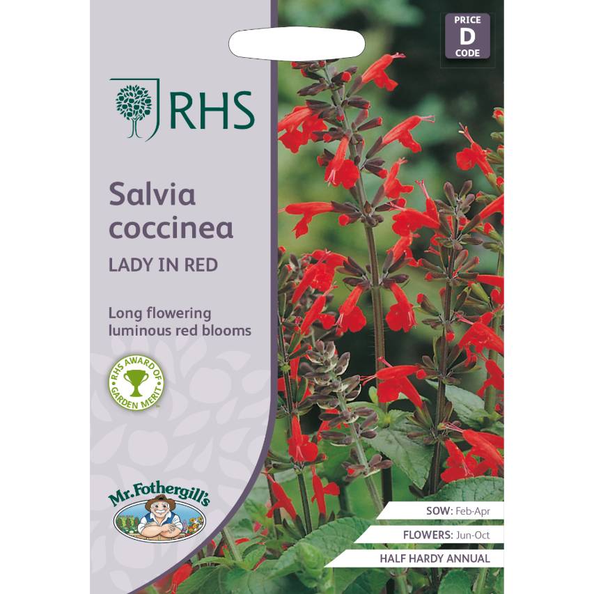 RHS salvia coccinea 'Lady in Red'