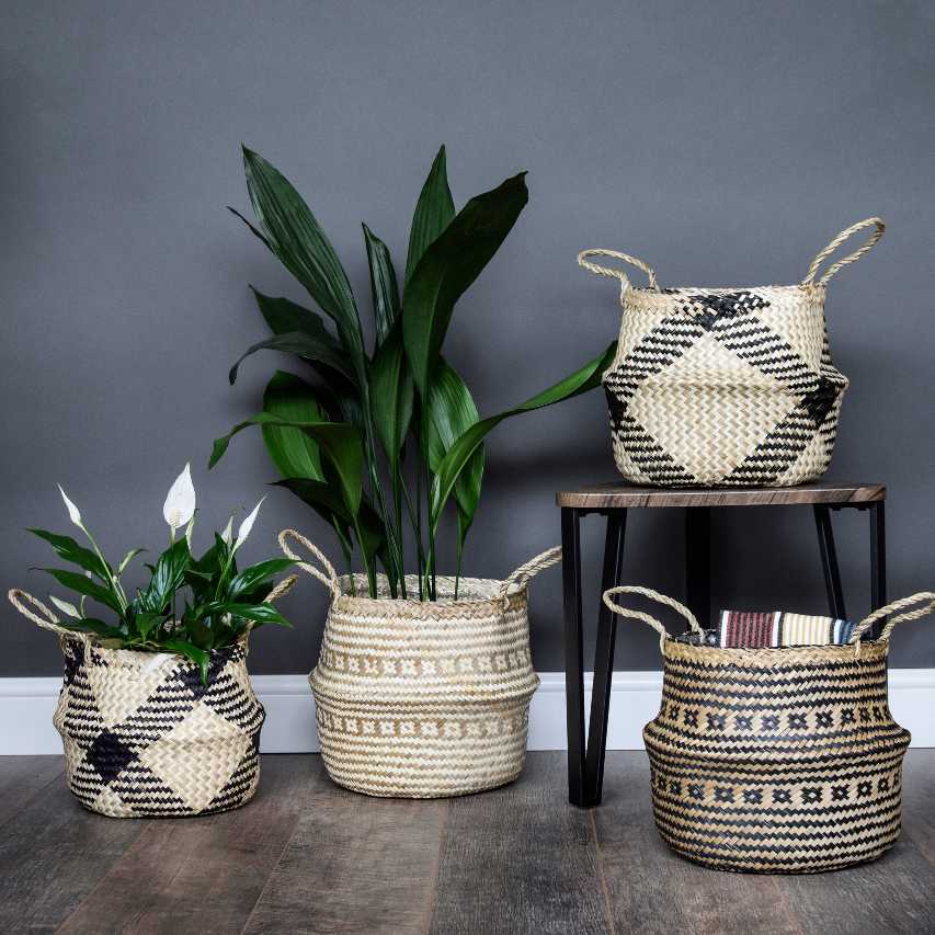 Seagrass black tribal lined plant basket with three other basket designs with peace lily and cast iron plant