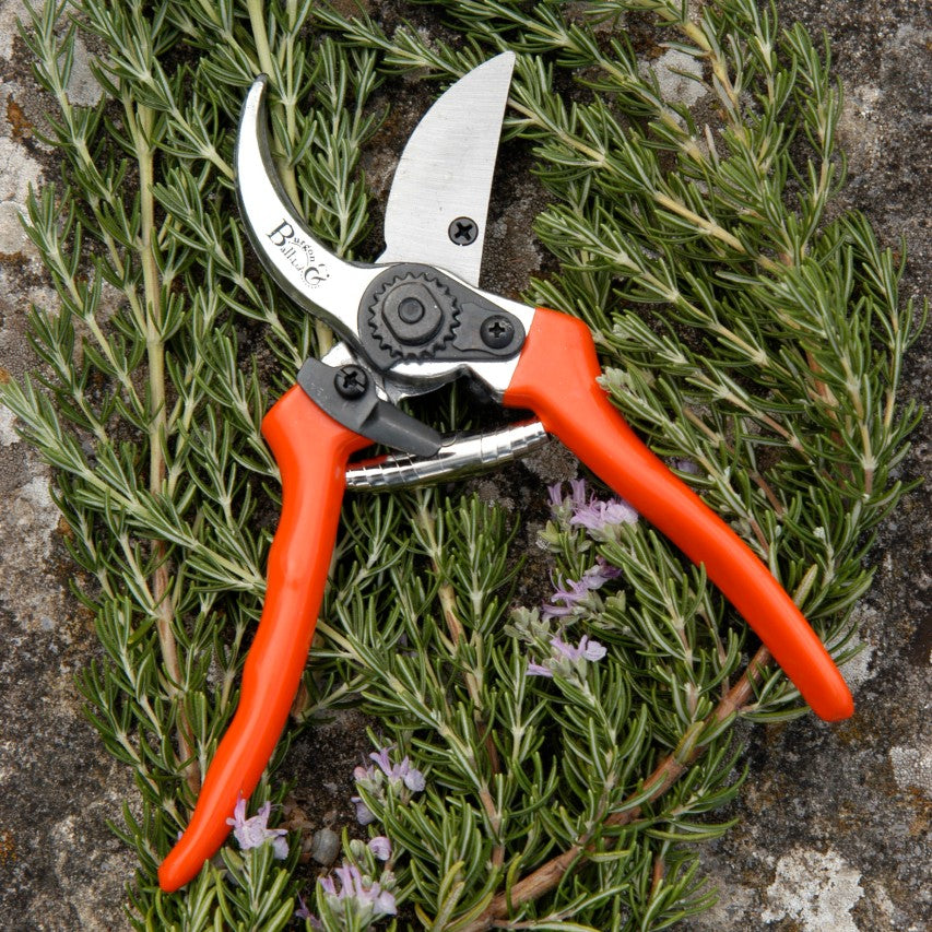 Burgon and Ball RHS bypass secateurs