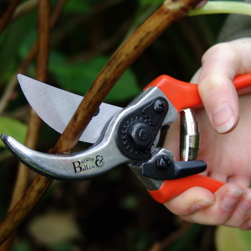 Burgon and Ball RHS bypass secateurs