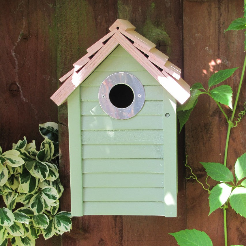 Frontview close up of New England nestbox in sage green attached to wooden fence with euonymus and climber growing etiher side