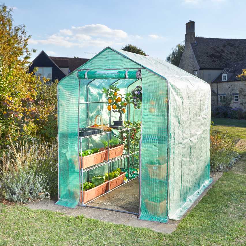 Smart Garden greenhouse grozone max with lettuce, tomatoes and lemon tree growing on steel mesh shelving