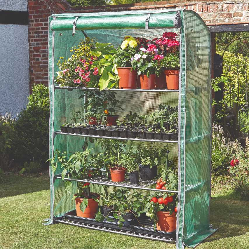 Smart Garden Grozone Max growhouse with front cover open displaying flowers and vegetable seedlings on shelves