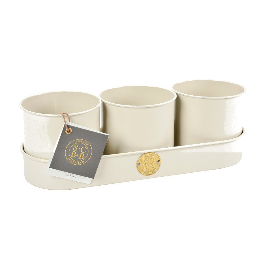 Sophie Conran buttermilk herb pots cut out 