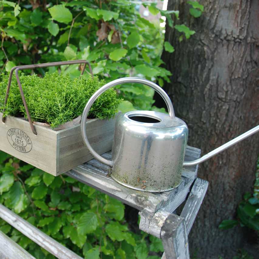 Stainless steel watering can next to plant tray on work bench