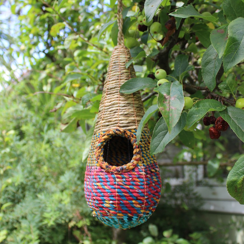 Tahera Artisan bird nester hanging from tree