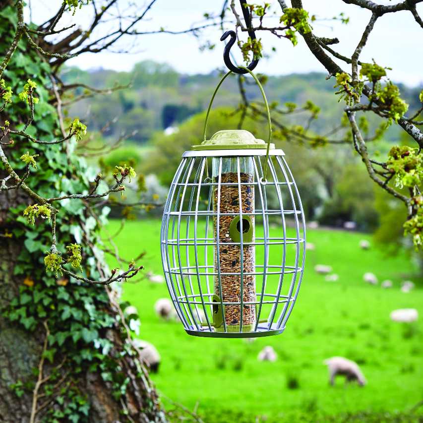 Chapelwood ultra squirrel proof seed feeder hanging from tree branch with sheep in background